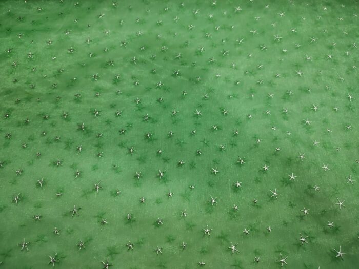 ORGANZA ESTRELLA FANTASÍA - Imagen 2